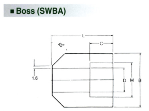 Phụ kiện ống nối BOSS (SWBA) SOCKET WELDING FITTINGS 3000lb, 6000lb